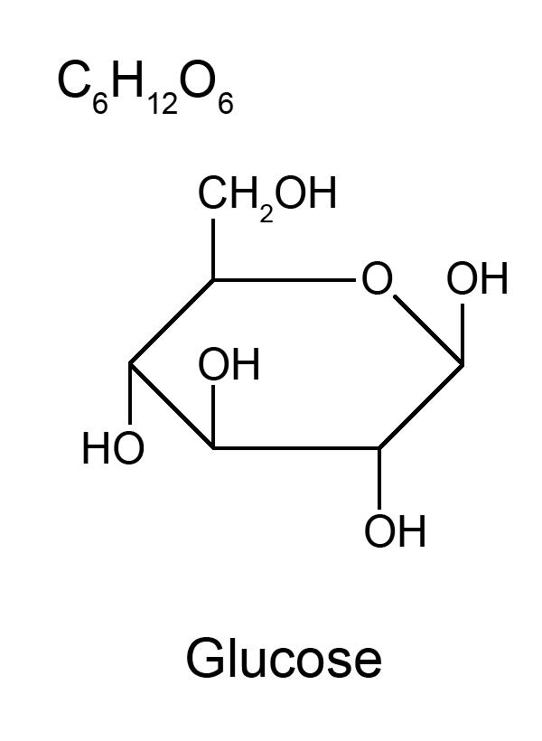 Descriptive text is not available for this image