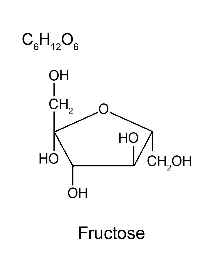 Descriptive text is not available for this image