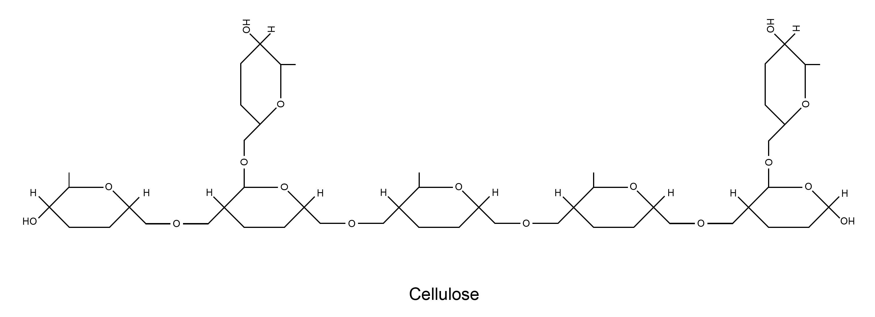 Descriptive text is not available for this image